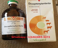 Buy dexaphenylbutazone 100ml Online