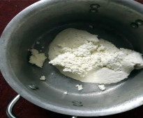 تصنيع جبن بلدي وطني طبيعي ( من حليب أبقار