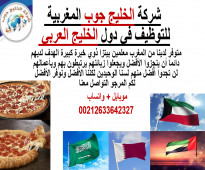 متوفر لدينا من المغرب معلمين بيتزا ذوي خبرة كبيرة