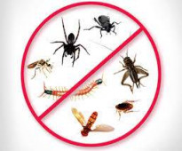 شركة الصرح لمكافحة الحشرات بالرياض 0550369013
