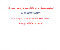 Internal auditor, Tax consultant, Financial Analyst& Chief Accountant
