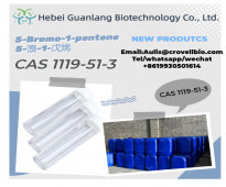 China Best Supplier 5-Bromo-1-Pentene CAS 1119-51-3 from Hebei GuanLang