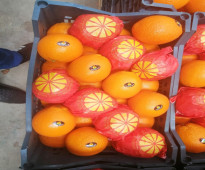 برتقال طازج مصري
