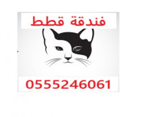 فندقة أبو لما للقطط والطيور - وقت اجازتك - 61 60 24 0555