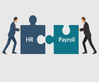 H.R And Payroll Specialist - Riyadh - Salary 5 To 6 K