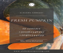 fresh Pumpkin